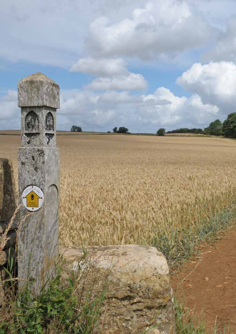 Traditional home with replacement windows suitable for planning-sensitive projects