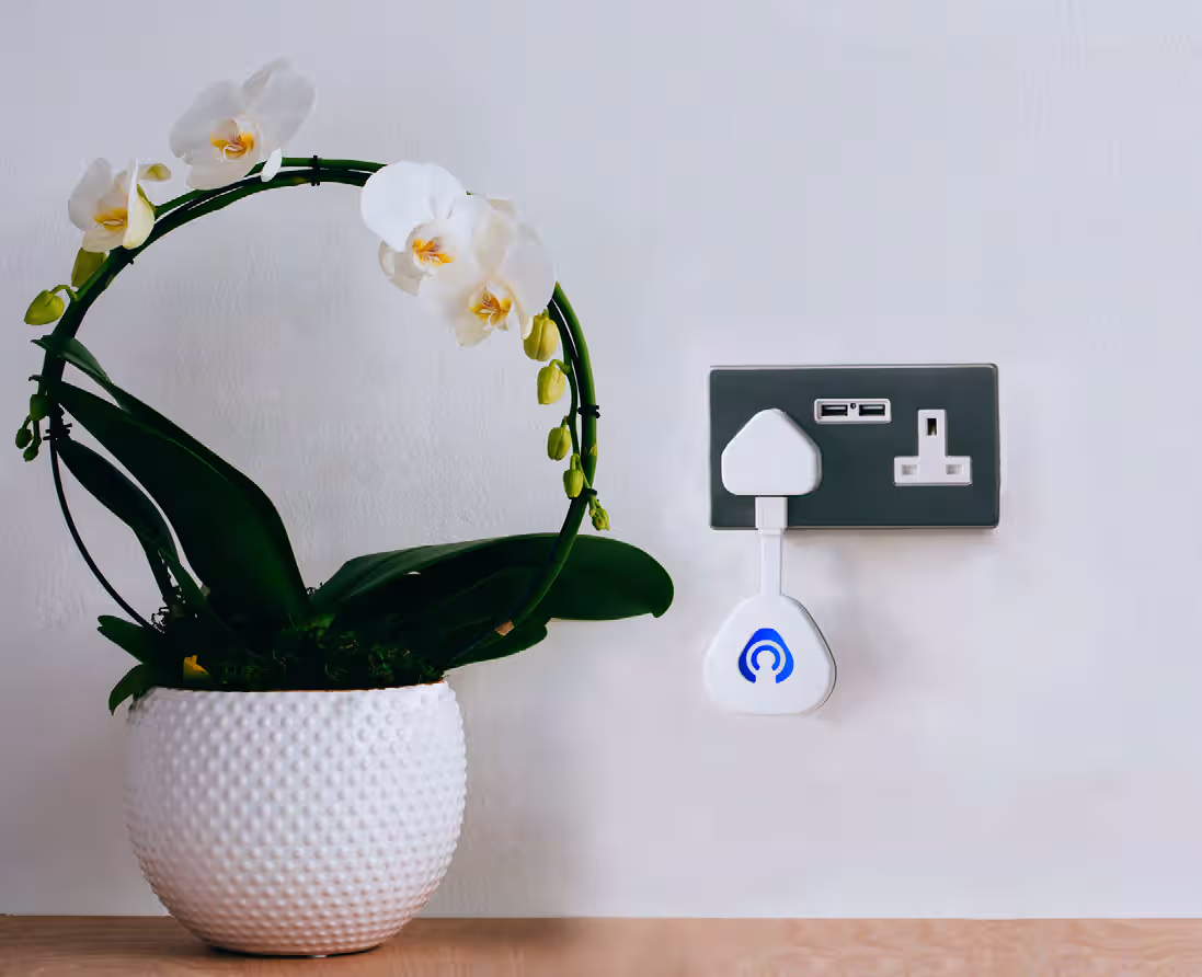 Smart home security hub interface for connected door monitoring