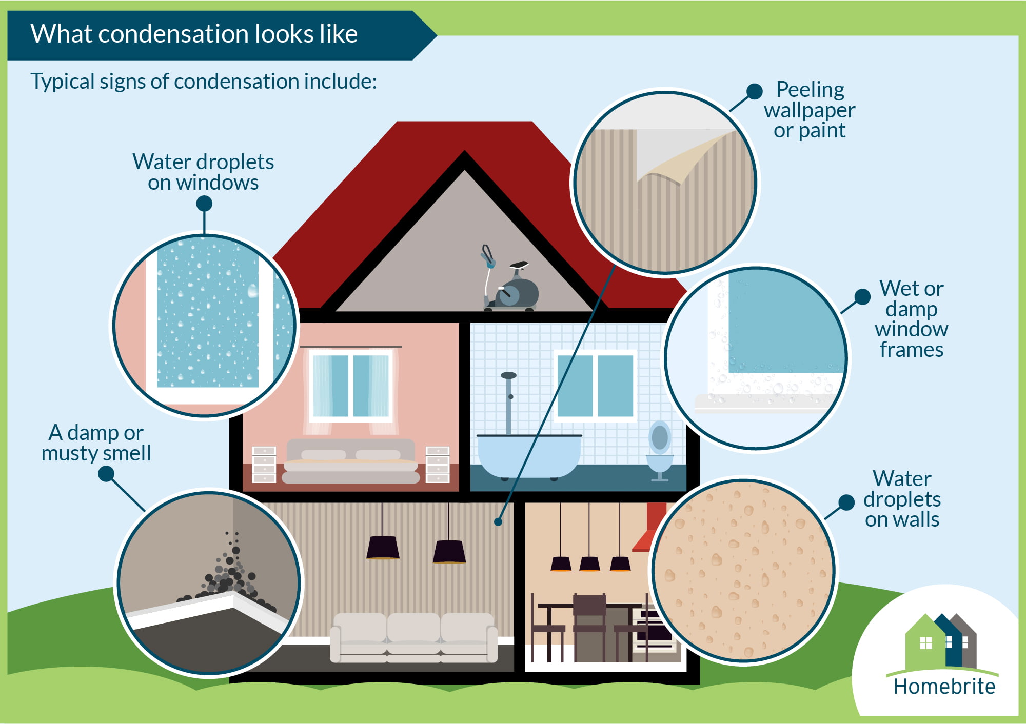 What is Condensation? Tips on How to Prevent It Homebrite